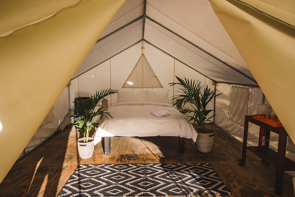 Ultimate Coachella Camping Guide - Discotech - The #1 Nightlife App